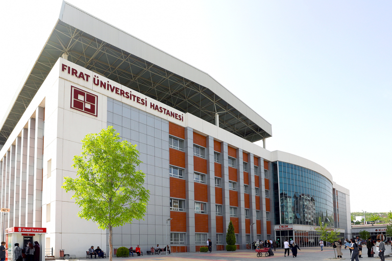 ELAZIĞ’DA KADINA YÖNELİK ŞİDDETİN EN KARA GÜNÜ: 3 ÇOCUK ANNESİ SÜMEYYE, KOCASI TARAFINDAN KATLEDİLDİ