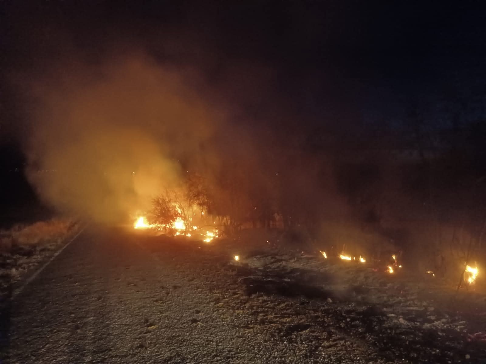 Akçapınar’da Alev Alarmı! Mesire Alanı Kül Olmaktan Son Anda Kurtuldu