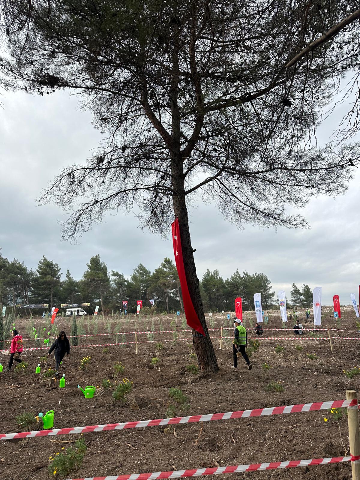 Ege Elazığlılar Derneği’nden Menderes’e 1.200 Çam Fidanı Bağışı
