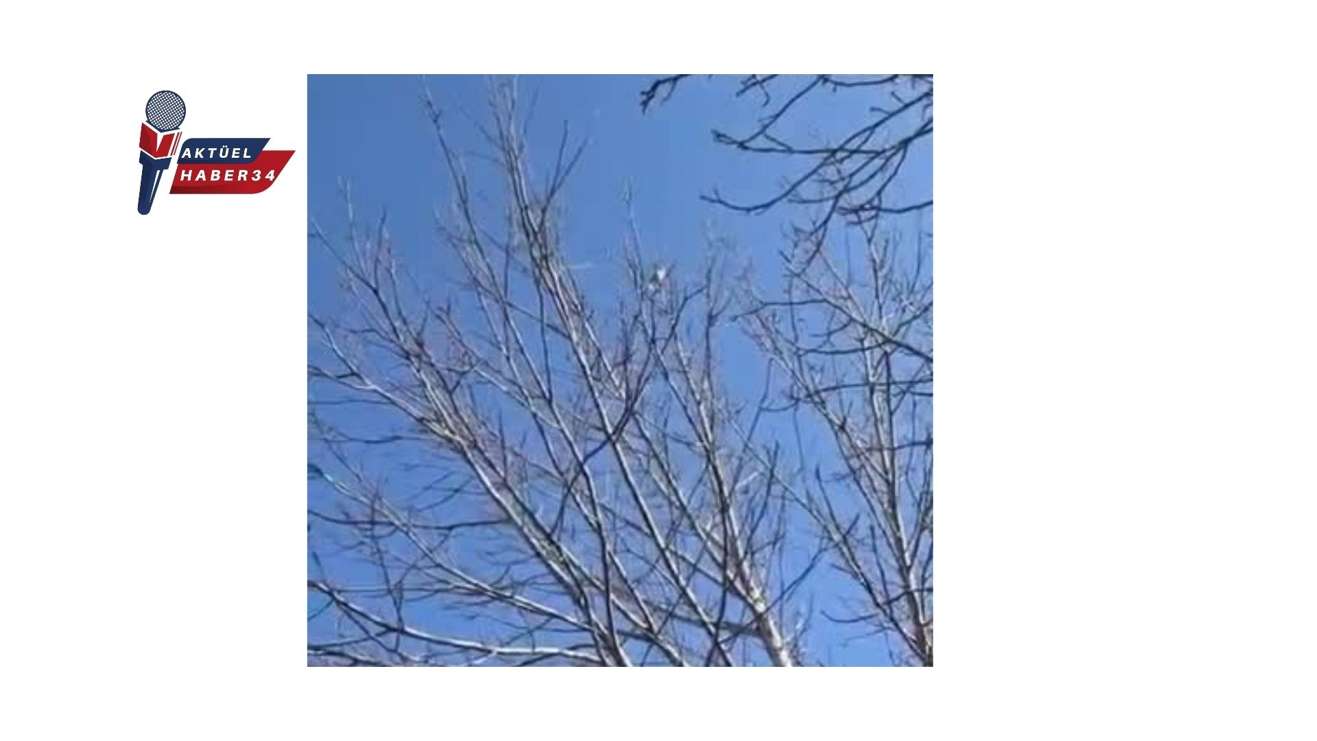 “GÖRMEZ MİSİN?” DEDİRTEN MUCİZE!