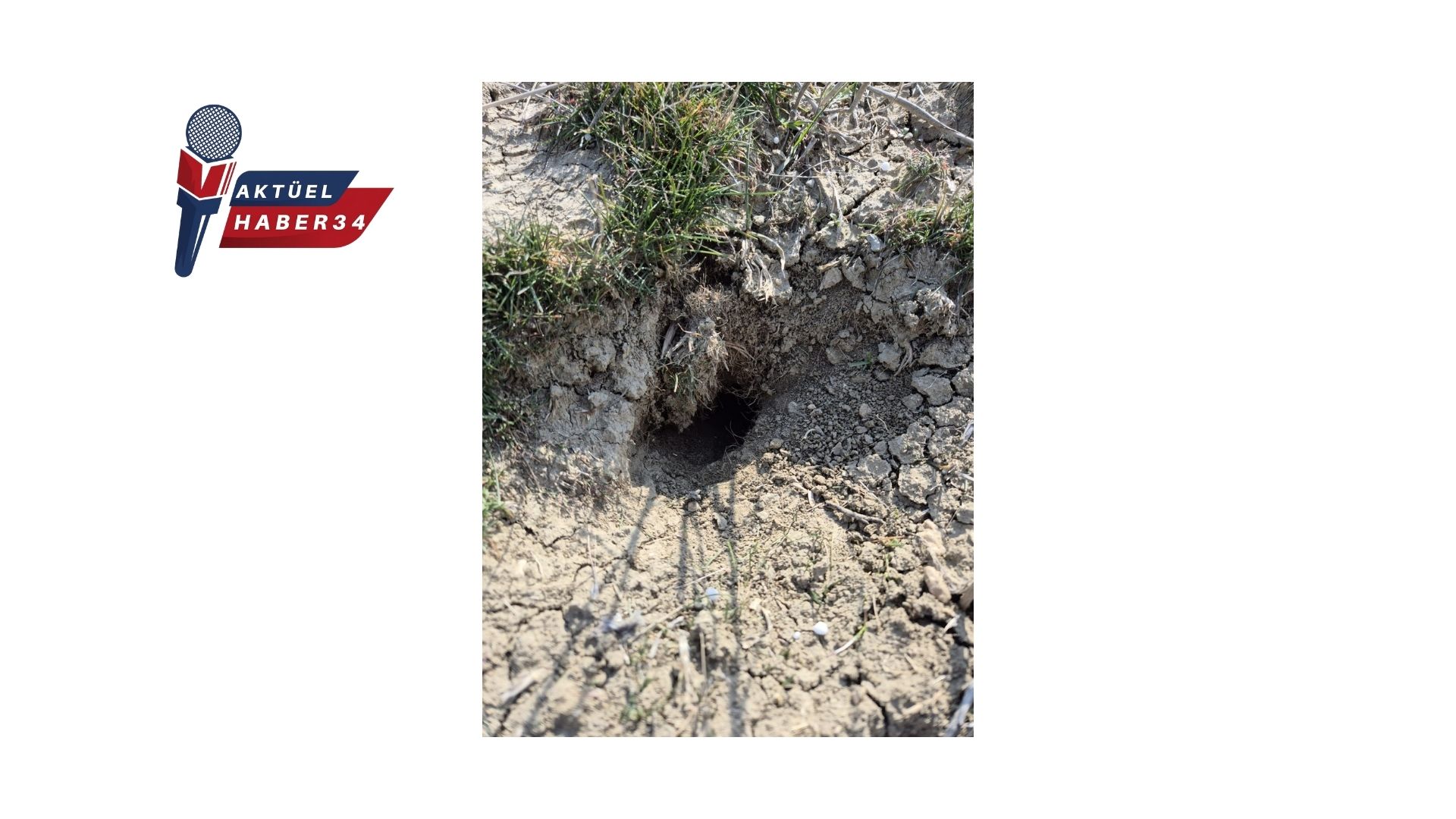 Elazığ’da Tarla Faresiyle Mücadele!