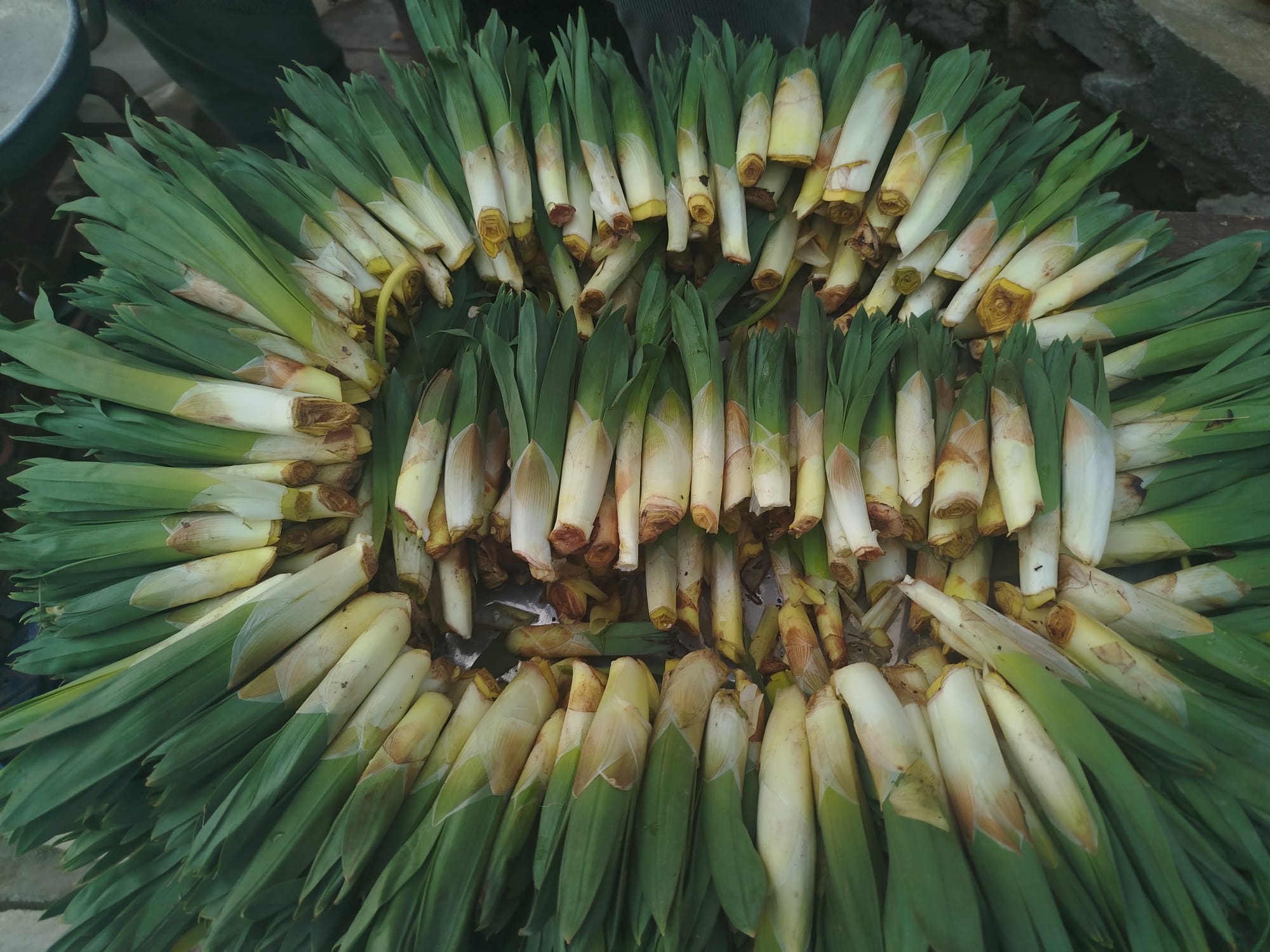 Elazığlılar 4 Gözle Bekliyordu!