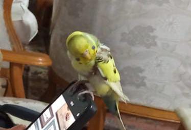 Derbiye saatler kala Elazığ’da gündem Müge Anlı!